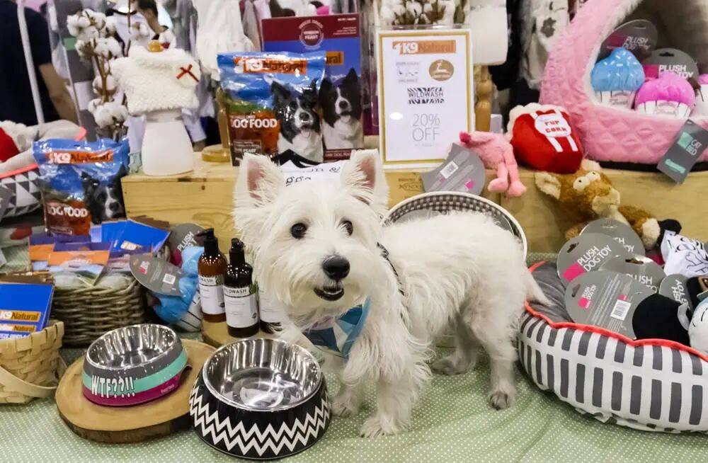 临这些掘金tips不容错过!AG真人app中东电商旺季来(图5) 临这些掘金tips不容错过!AG真人app中东电商旺季来(图5)